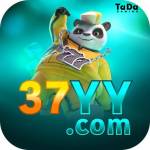 37yy 37yy Profile Picture