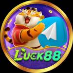luck88 luck88 Profile Picture