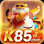 k85 k85 Profile Picture