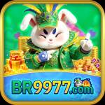 br9977 br9977 Profile Picture