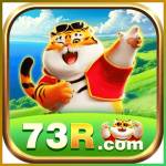 73r 73r Profile Picture