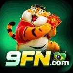 9fn 9fn Profile Picture