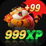 999xp 999xp Profile Picture