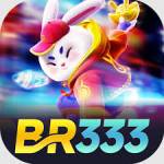 br333 br333 Profile Picture