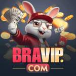 bravip bravip Profile Picture