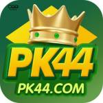 pk44 pk44 Profile Picture
