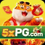 5xpg 5xpg Profile Picture