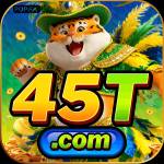 45t 45t Profile Picture