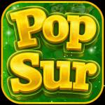popsur popsur Profile Picture