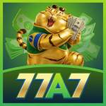 77a7 77a7 Profile Picture