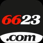 6623 6623 Profile Picture