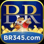 br345 br345 Profile Picture