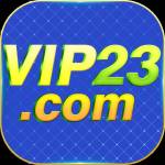 vip23 vip23 Profile Picture