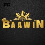 baawin baawin Profile Picture