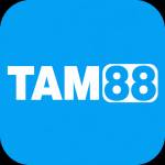 tam88 tam88 Profile Picture