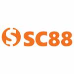 sc88 sc88 Profile Picture