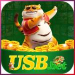 usbbet usbbet Profile Picture