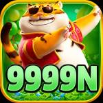 9999n 9999n Profile Picture