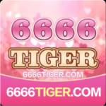 6666tiger 6666tiger Profile Picture