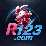 r123 r123 Profile Picture