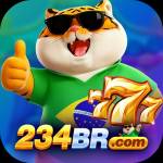 234br 234br Profile Picture