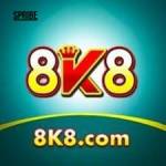 8k8 8k8 Profile Picture