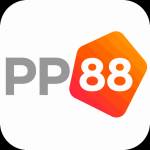 pp88 pp88 Profile Picture