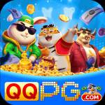 qqpg qqpg Profile Picture
