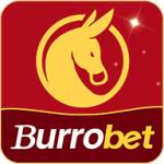 burrobet burrobet Profile Picture