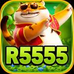r5555 r5555 Profile Picture
