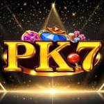 pk7 pk7 Profile Picture