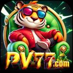 pv77 pv77 Profile Picture