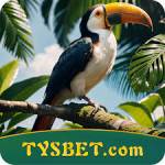 tysbet tysbet Profile Picture