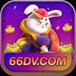 66dv 66dv Profile Picture