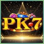 pk7 pk7 Profile Picture