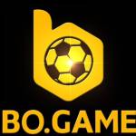 bogame bogame Profile Picture