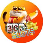 365slots 365slots Profile Picture