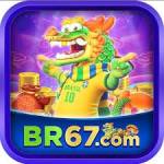 br67 br67 Profile Picture