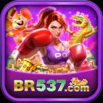 br537 br537 Profile Picture