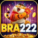bra222 bra222 Profile Picture