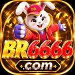 br6666 br6666 Profile Picture