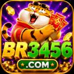 br3456 br3456 Profile Picture