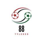 tylekeobongda Profile Picture