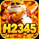 h2345 h2345 Profile Picture