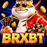 brxbt brxbt Profile Picture