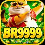 br9999 br9999 Profile Picture