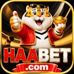 haabet haabet Profile Picture