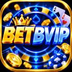 betbvip betbvip Profile Picture