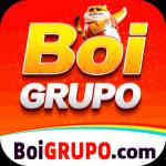 boigrupo boigrupo Profile Picture